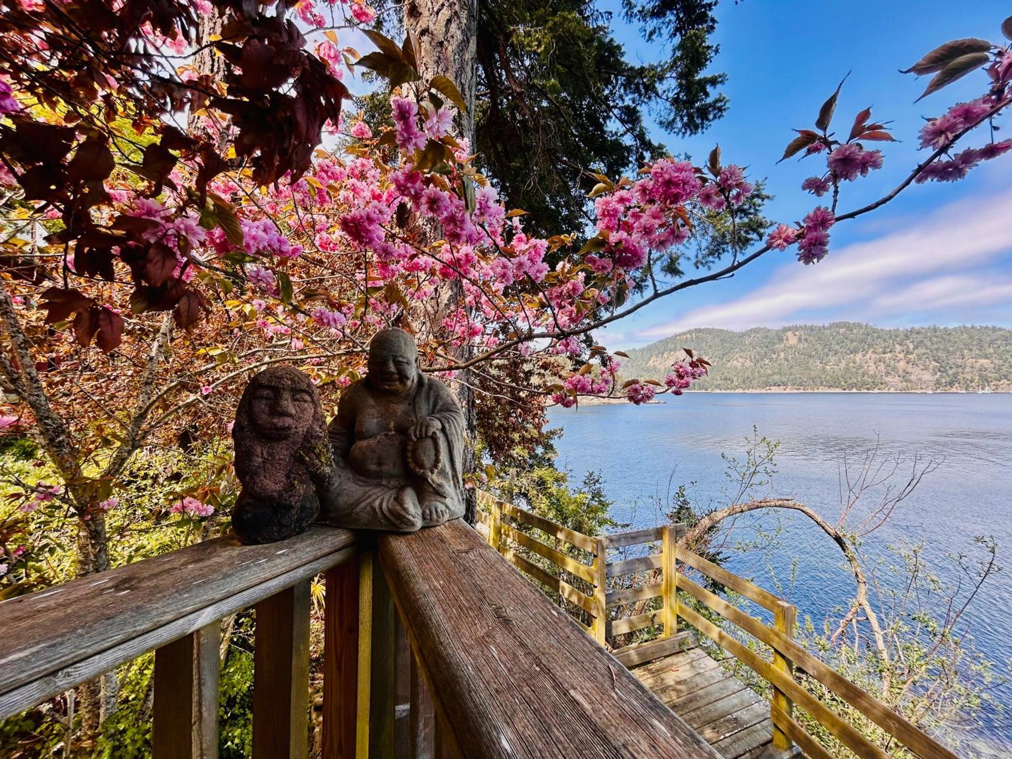 Shangrila Waterfront Vacation Home Bedwell Harbour Εξωτερικό φωτογραφία